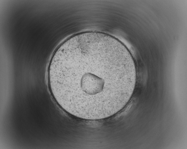 X0000101990807200808011100