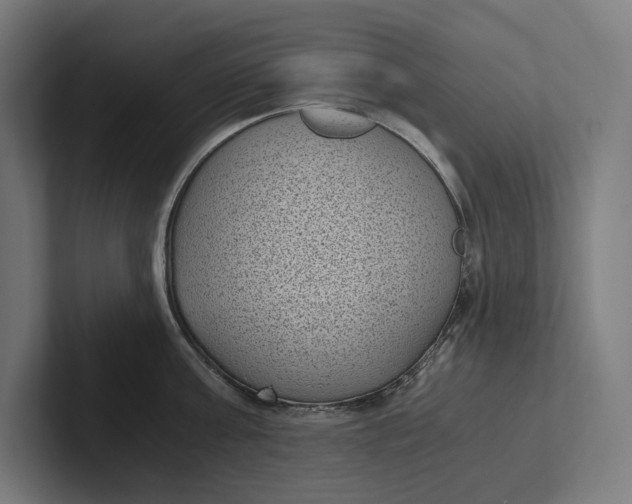 X0000101990811200808011100