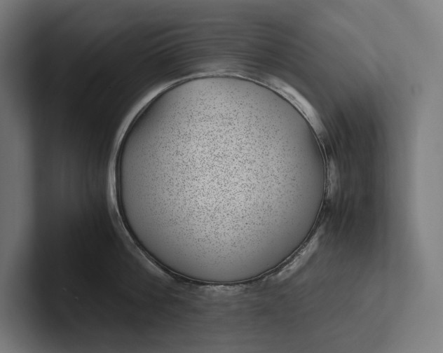 X0000101990812200808011100