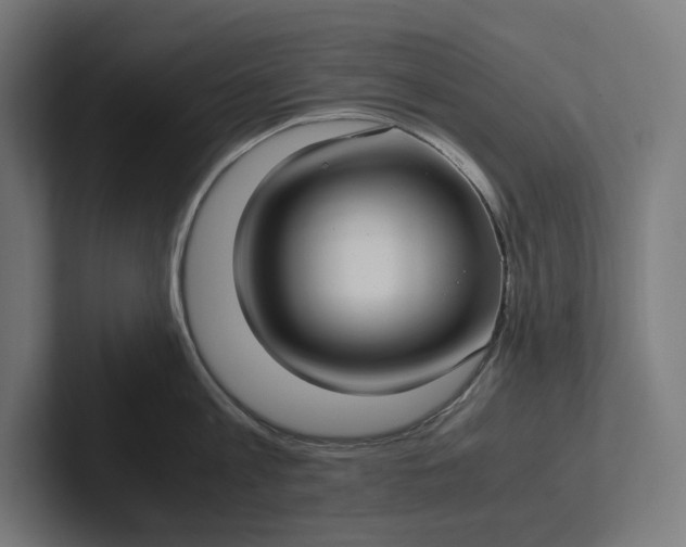 X0000101990813200808011100