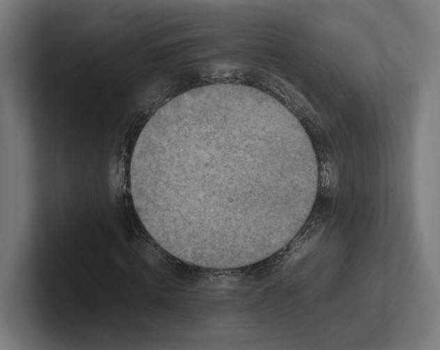 X0000101990820200808011059