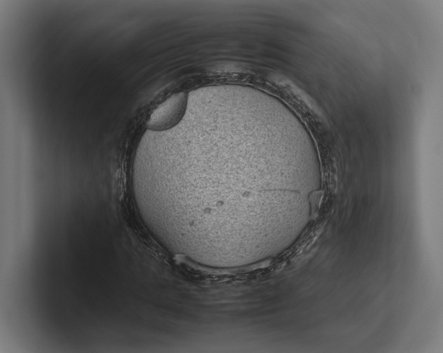 X0000101990821200808011059