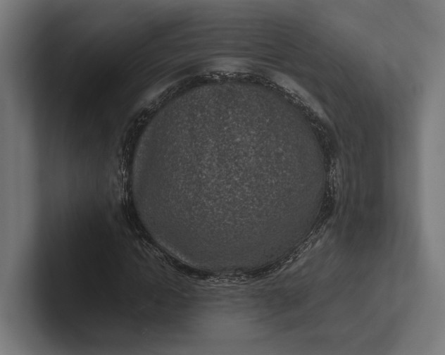 X0000101990822200808011059