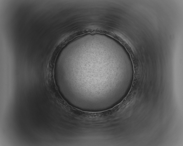 X0000101990823200808011059