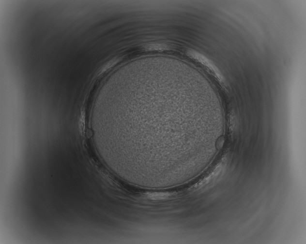 X0000101990825200808011059