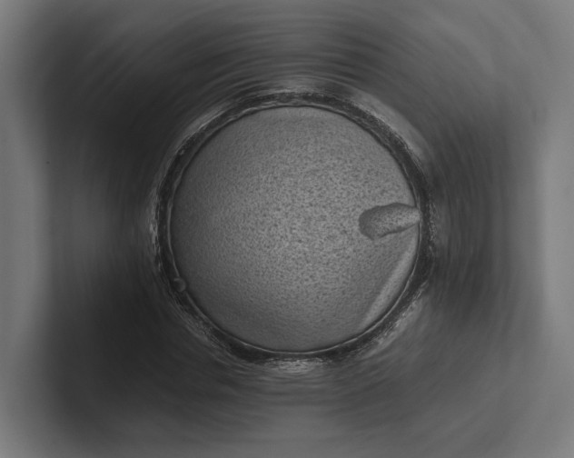 X0000101990826200808011059