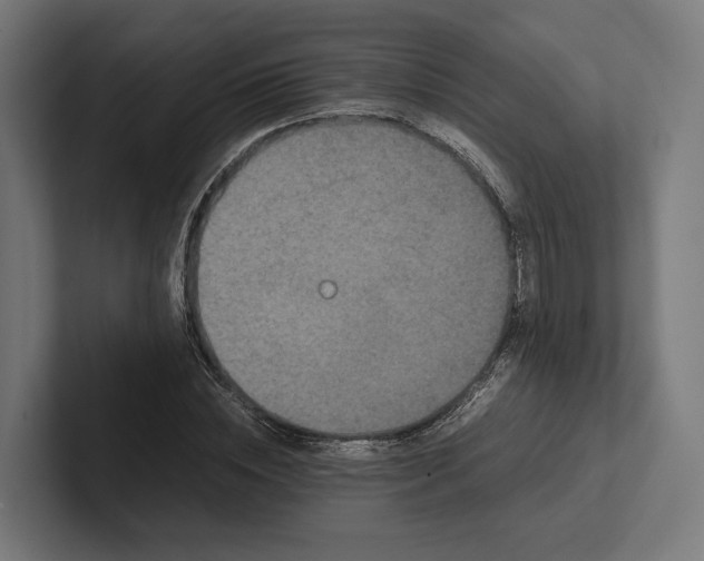 X0000101990828200808011059