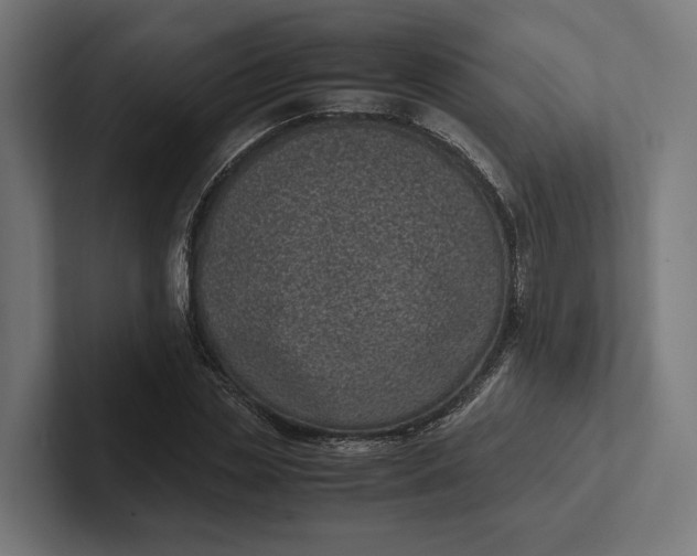 X0000101990829200808011059