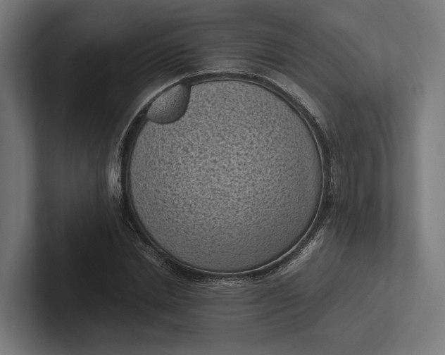 X0000101990830200808011059