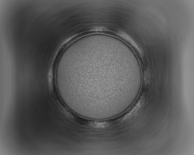 X0000101990831200808011059