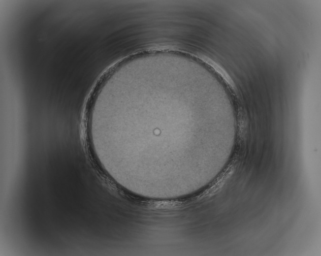 X0000101990832200808011059