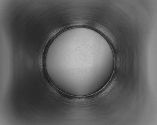 X0000101990834200808011059