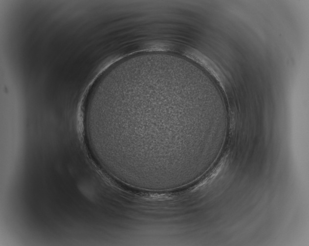 X0000101990835200808011059