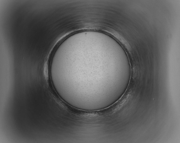 X0000101990838200808011059