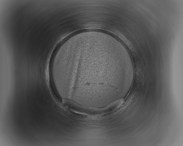 X0000101990840200808011059