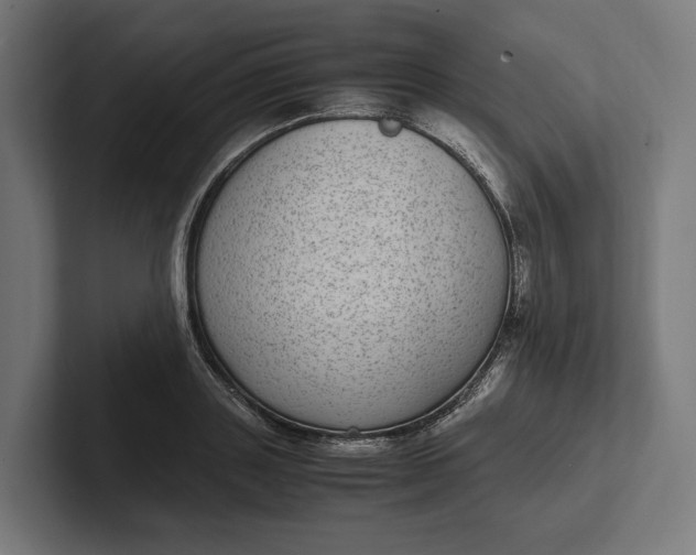 X0000101990843200808011059