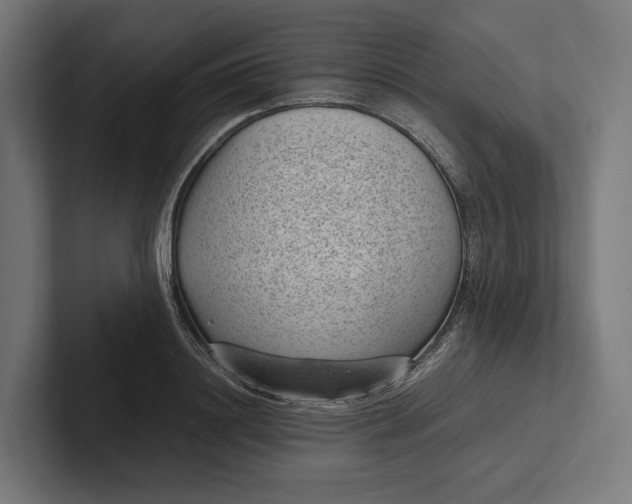 X0000101990844200808011059