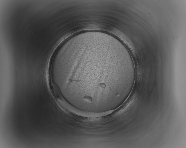 X0000101990845200808011059