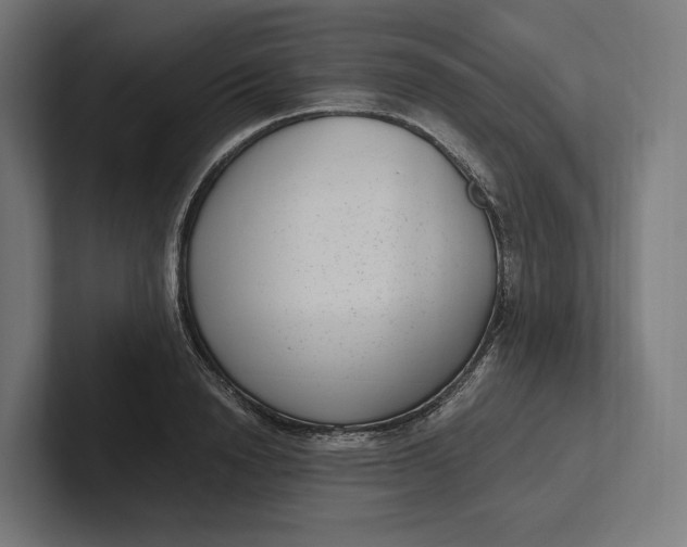 X0000101990846200808011059