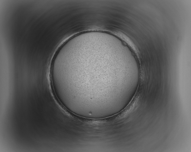 X0000101990847200808011059