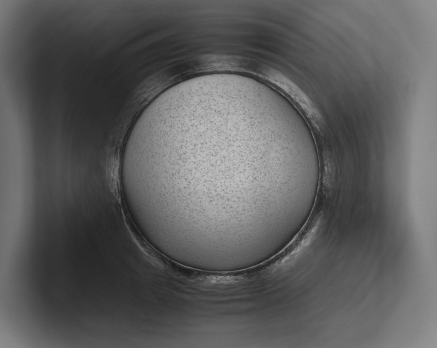 X0000101990849200808011059