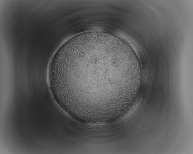 X0000101990851200808011100