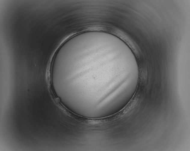 X0000101990852200808011100