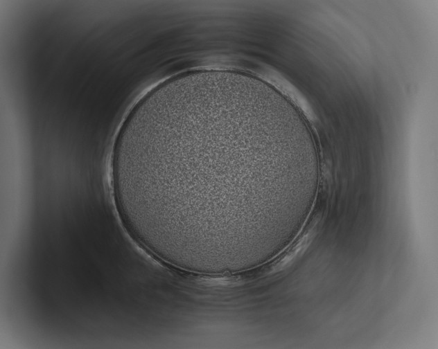 X0000101990855200808011100