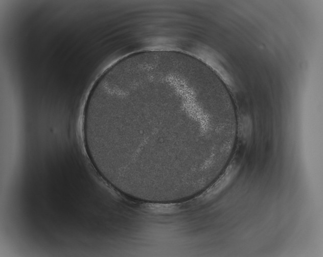 X0000101990856200808011100