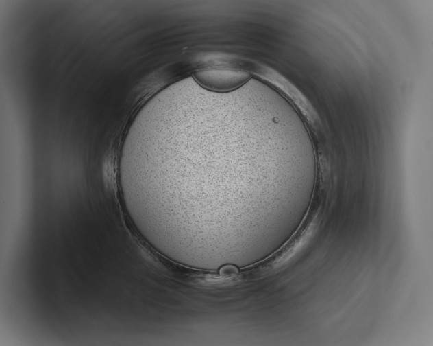 X0000101990857200808011100