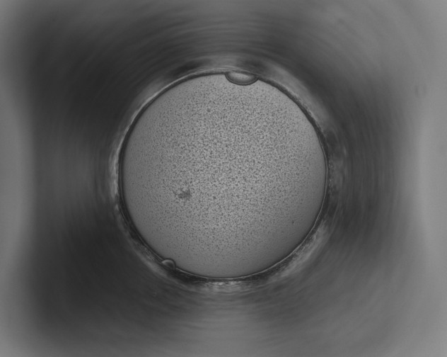 X0000101990858200808011100