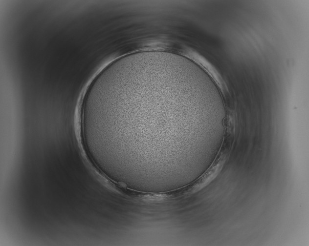 X0000101990859200808011100