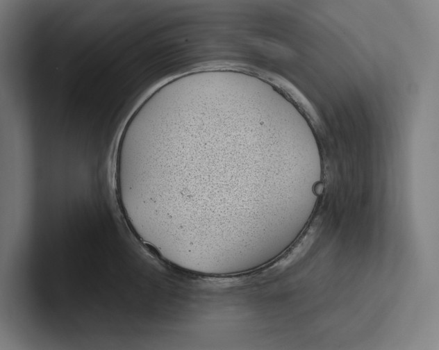 X0000101990860200808011100