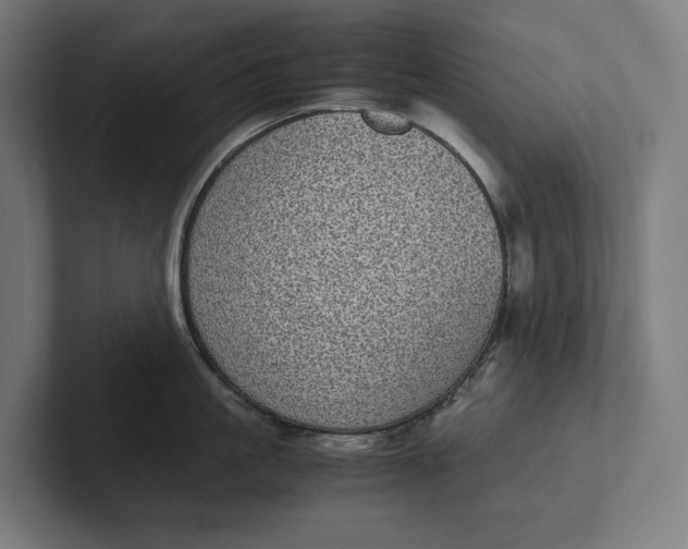 X0000101990861200808011100