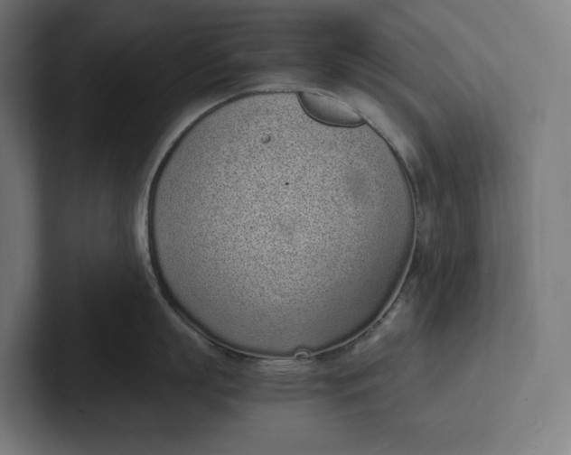 X0000101990863200808011100