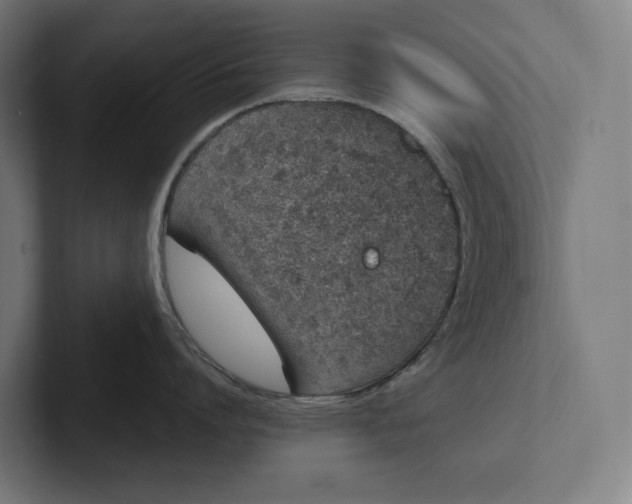 X0000101990864200808011100