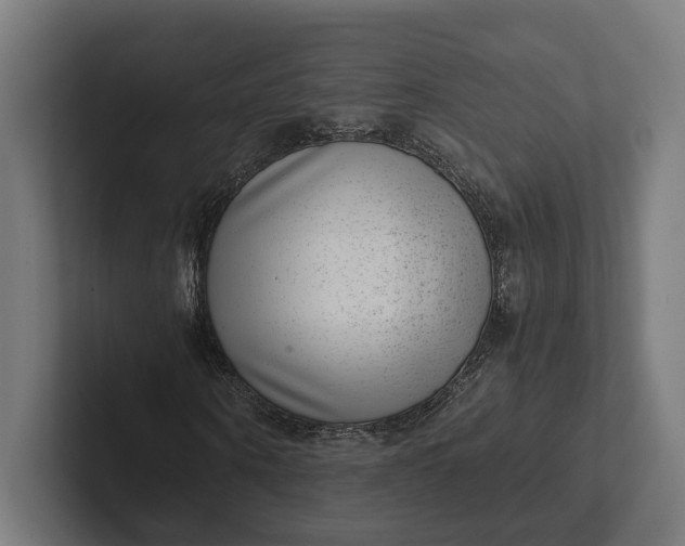 X0000101990866200808011059