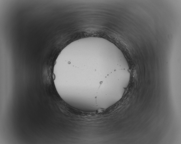 X0000101990868200808011059