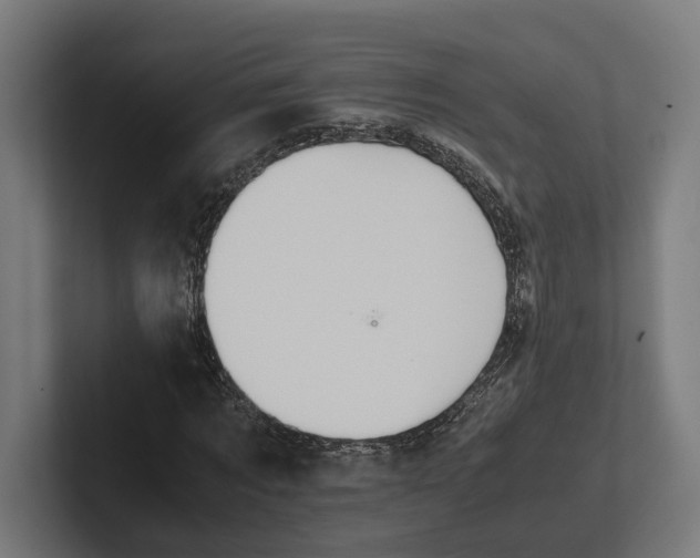 X0000101990869200808011059