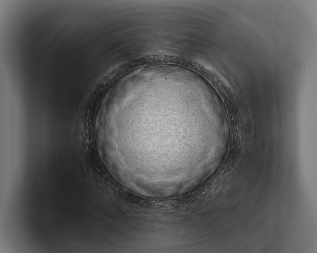 X0000101990870200808011059