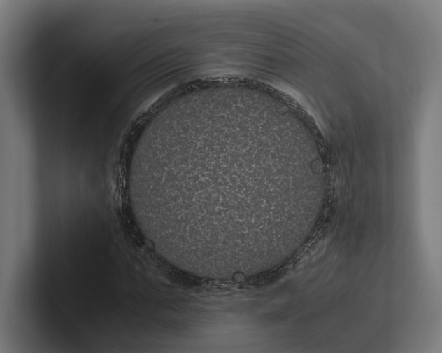 X0000101990871200808011059