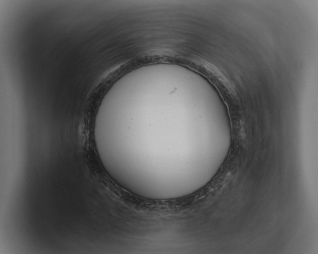 X0000101990872200808011059