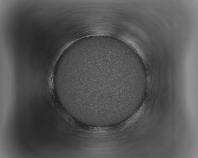 X0000101990875200808011059