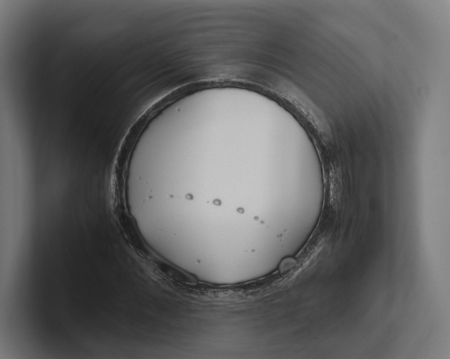 X0000101990876200808011059