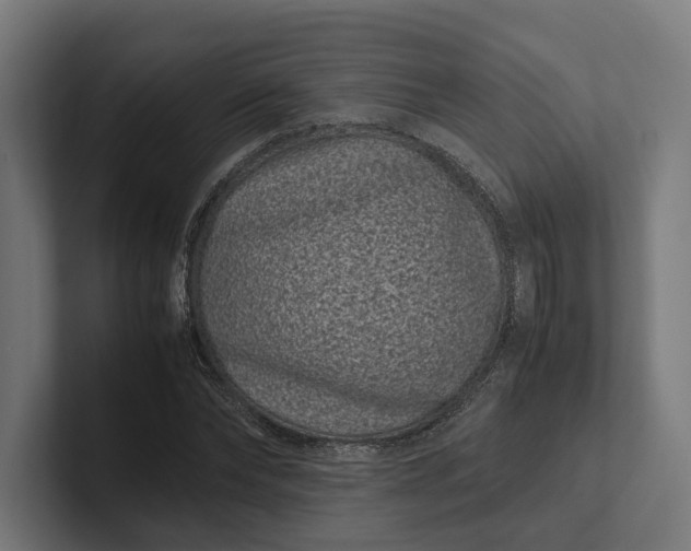 X0000101990878200808011059