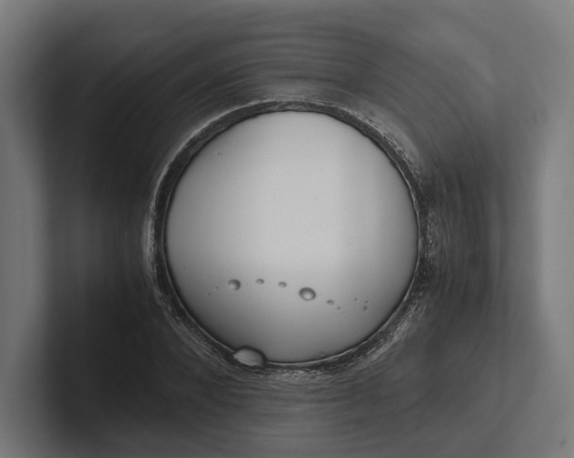 X0000101990880200808011059