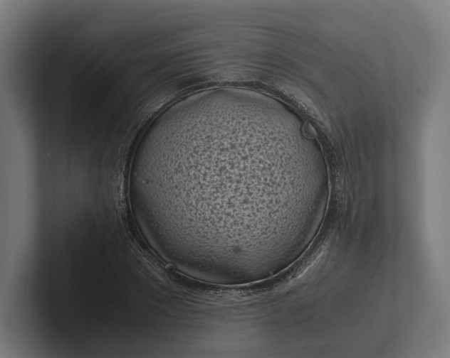 X0000101990881200808011059