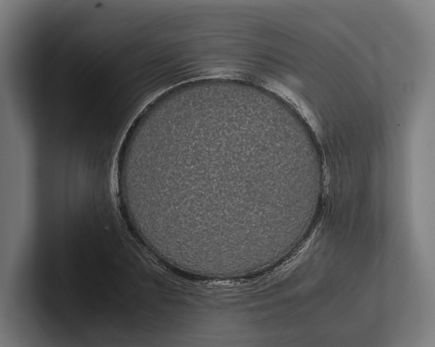 X0000101990883200808011059