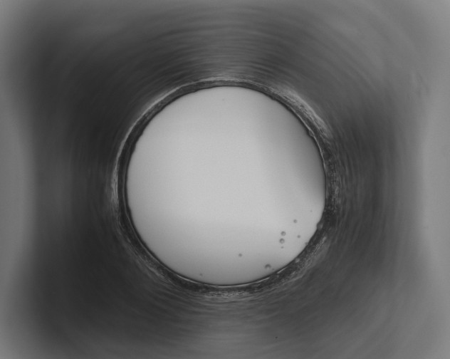 X0000101990884200808011059