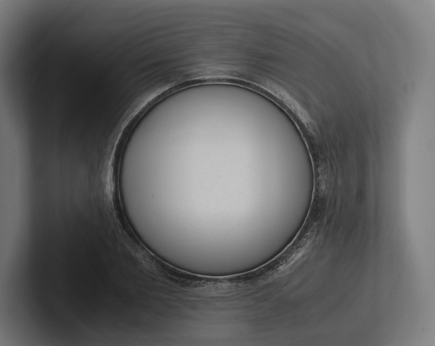 X0000101990885200808011059